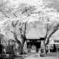 来迎寺観音堂