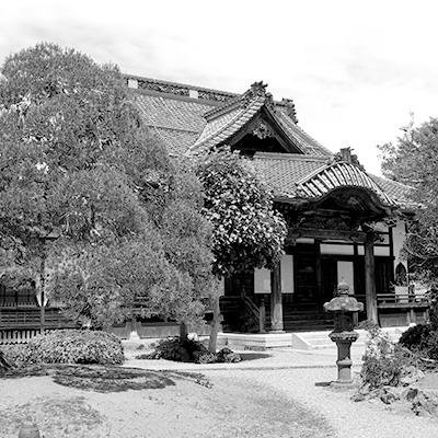 三宝寺観音 2013-06-14
