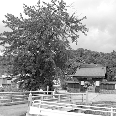 中生居観音