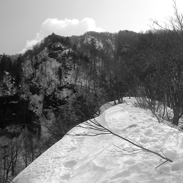 龍山 2021-02-22