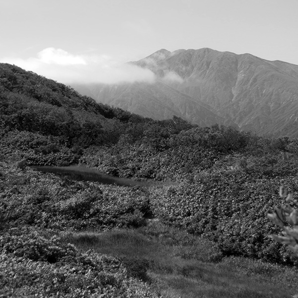以東岳遠望