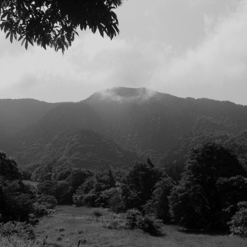 龍山 2025-06-13